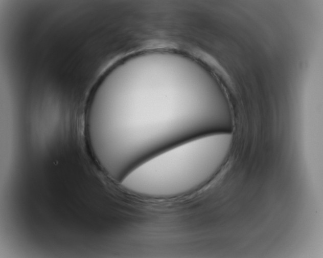X0000099521220200805151025