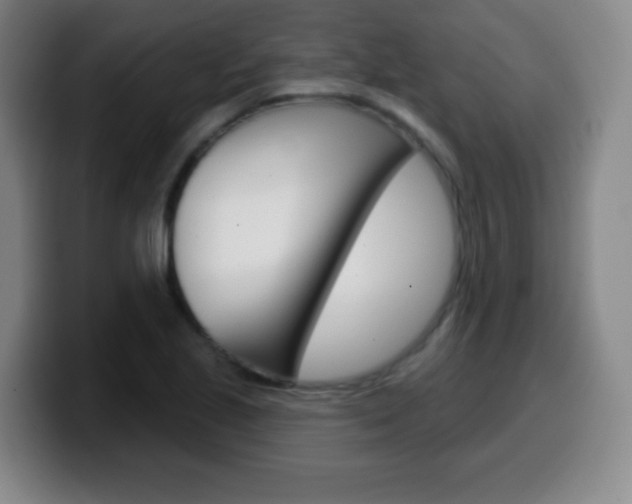X0000099521221200805151025