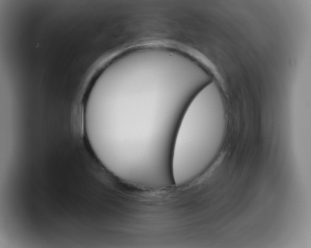 X0000099521223200805151025
