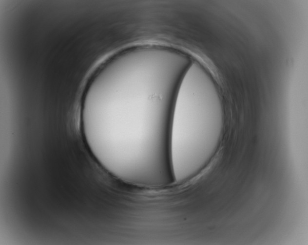X0000099521224200805151025