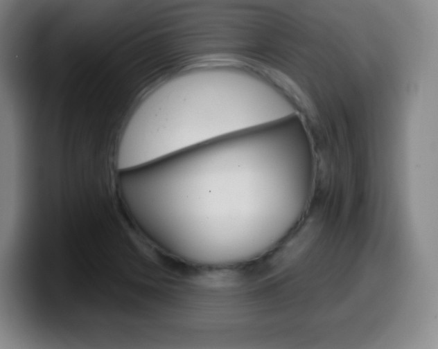 X0000099521225200805151025