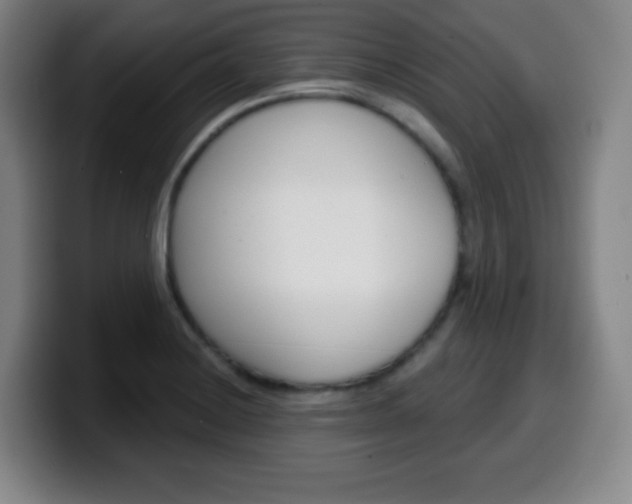 X0000099521228200805151025