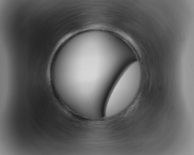 X0000099521230200805151025