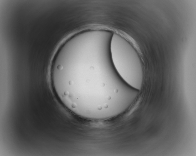 X0000099521231200805151025