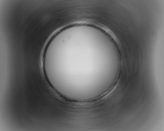 X0000099521232200805151025