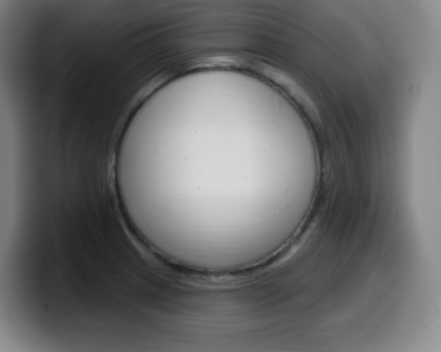X0000099521233200805151025