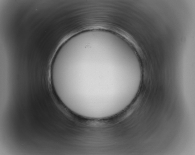 X0000099521234200805151025