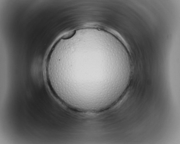 X0000099521235200805151025