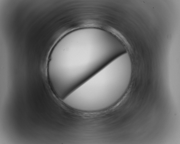 X0000099521236200805151025
