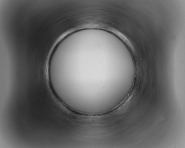 X0000099521238200805151025