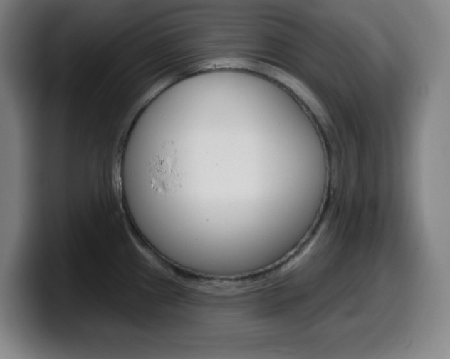 X0000099521241200805151026