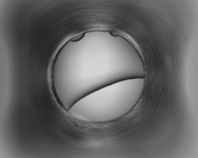 X0000099521243200805151026