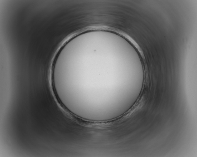 X0000099521245200805151026