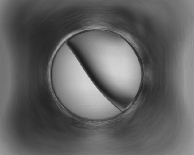 X0000099521246200805151026