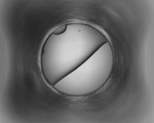 X0000099521247200805151026