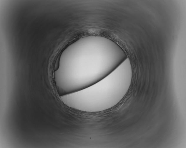 X0000099521249200805151025