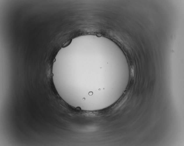 X0000099521251200805151025
