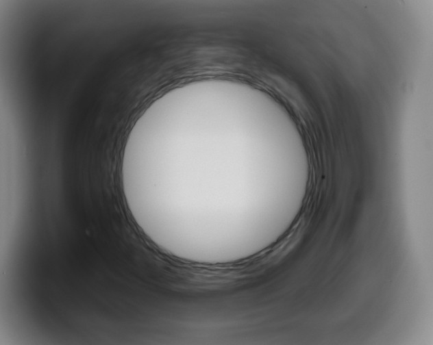 X0000099521252200805151025