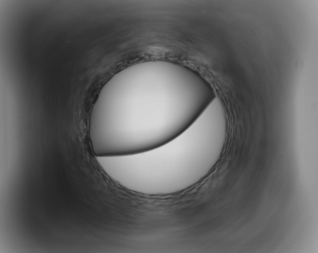 X0000099521253200805151025