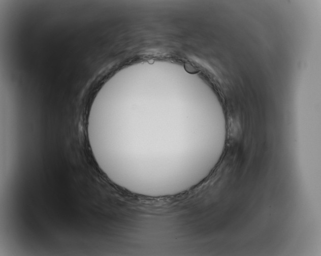 X0000099521254200805151025