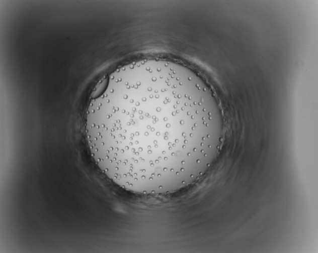 X0000099521255200805151025