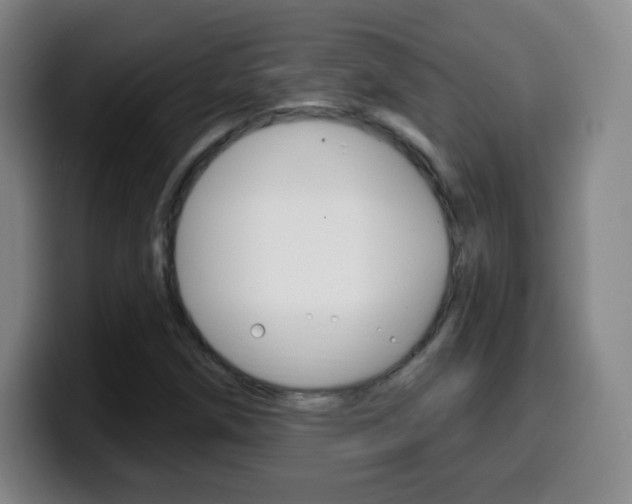 X0000099521258200805151025