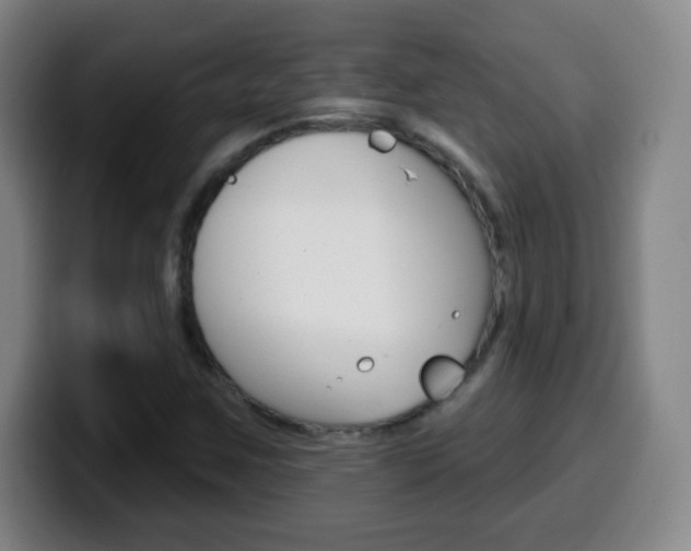 X0000099521259200805151025