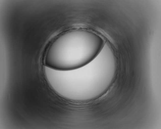 X0000099521261200805151025