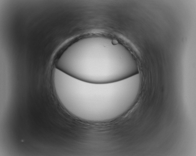X0000099521262200805151025