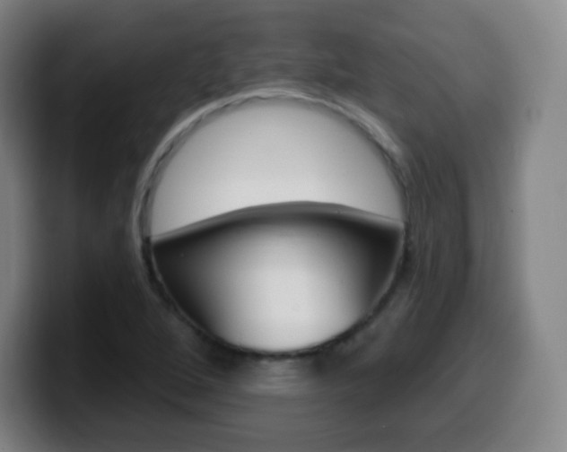 X0000099521264200805151025