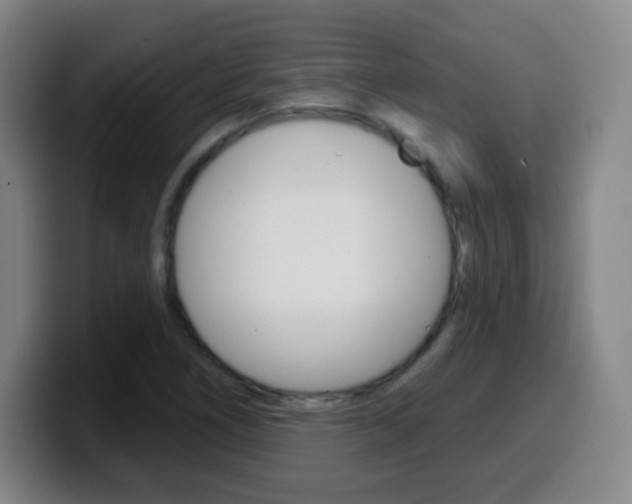 X0000099521266200805151025