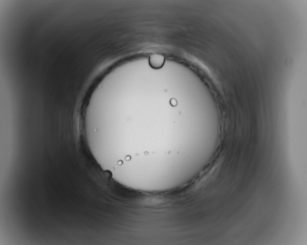 X0000099521267200805151025