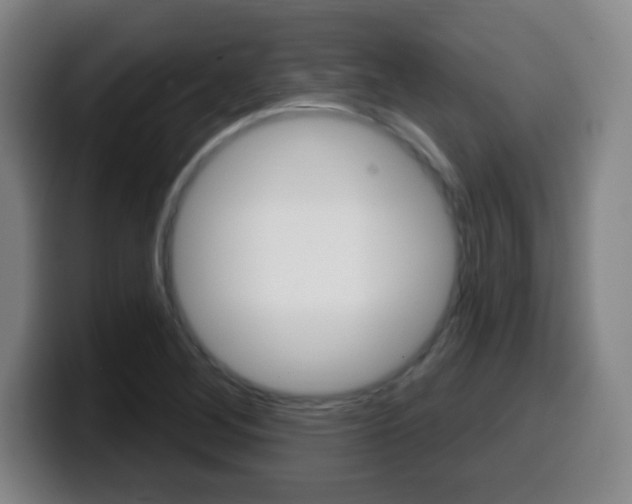 X0000099521268200805151025