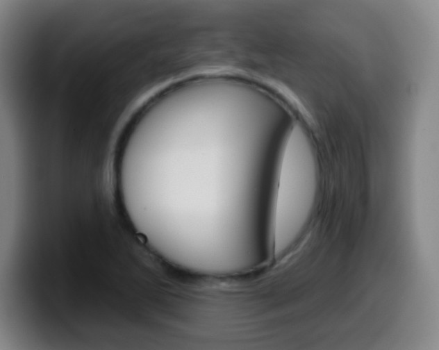 X0000099521270200805151025