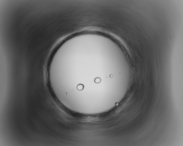 X0000099521271200805151025