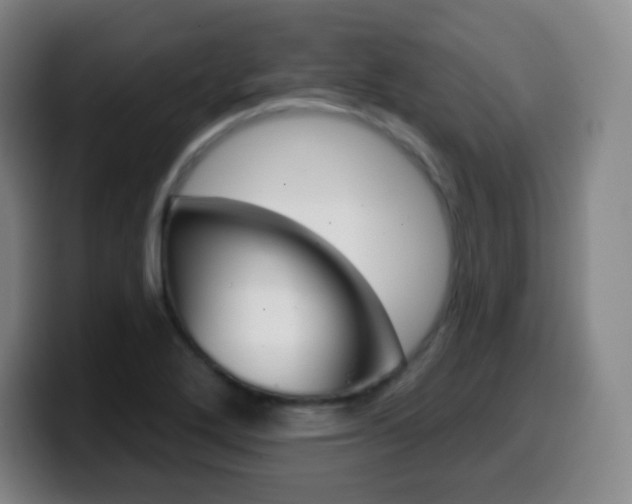 X0000099521272200805151025