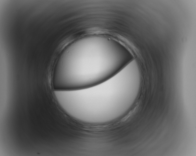 X0000099521273200805151025