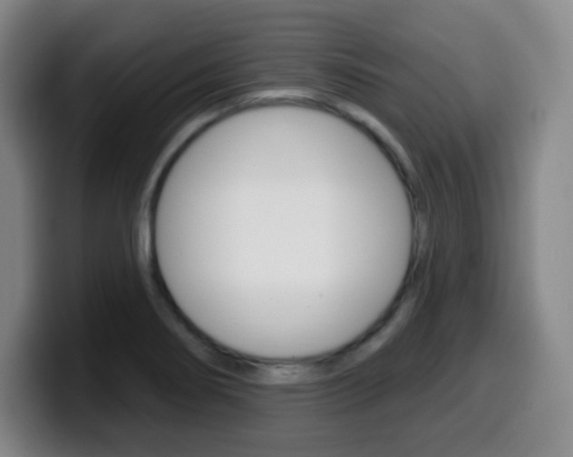 X0000099521274200805151025