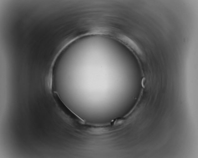 X0000099521276200805151025