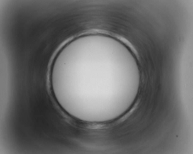 X0000099521278200805151025