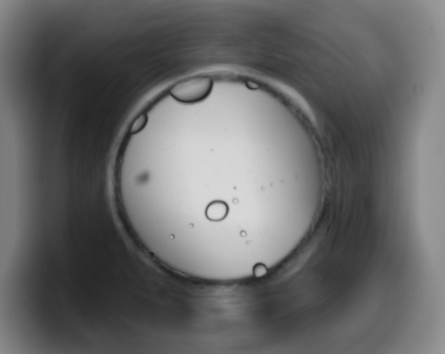X0000099521279200805151025