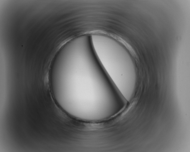 X0000099521281200805151024