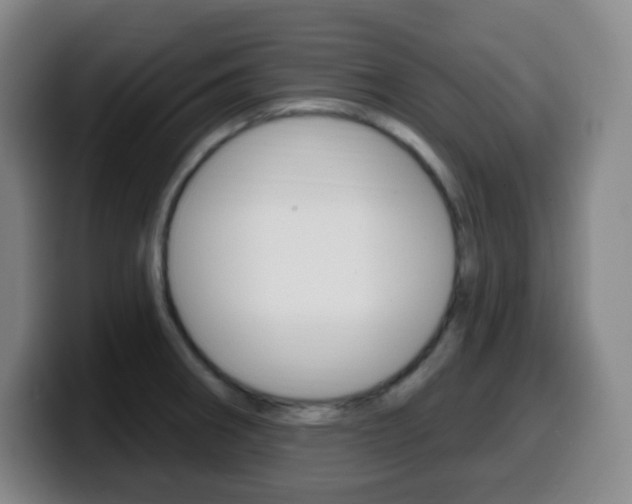 X0000099521282200805151024