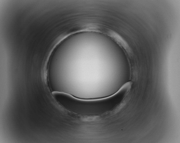 X0000099521284200805151024