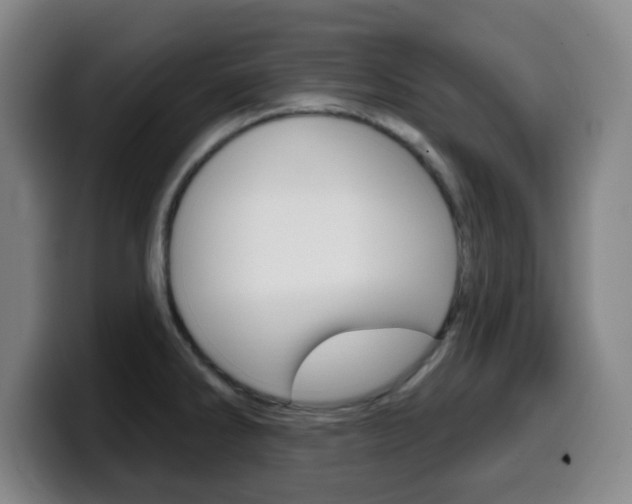 X0000099521286200805151024