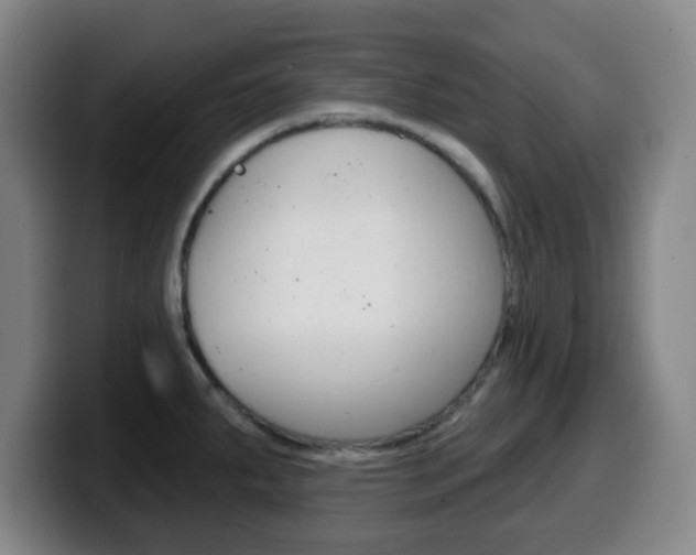 X0000099521287200805151024