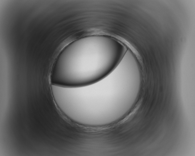 X0000099521289200805151024