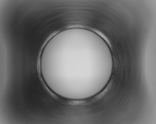 X0000099521290200805151024