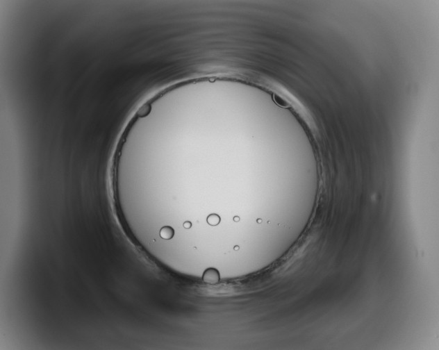 X0000099521291200805151024