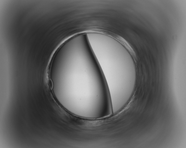 X0000099521292200805151024